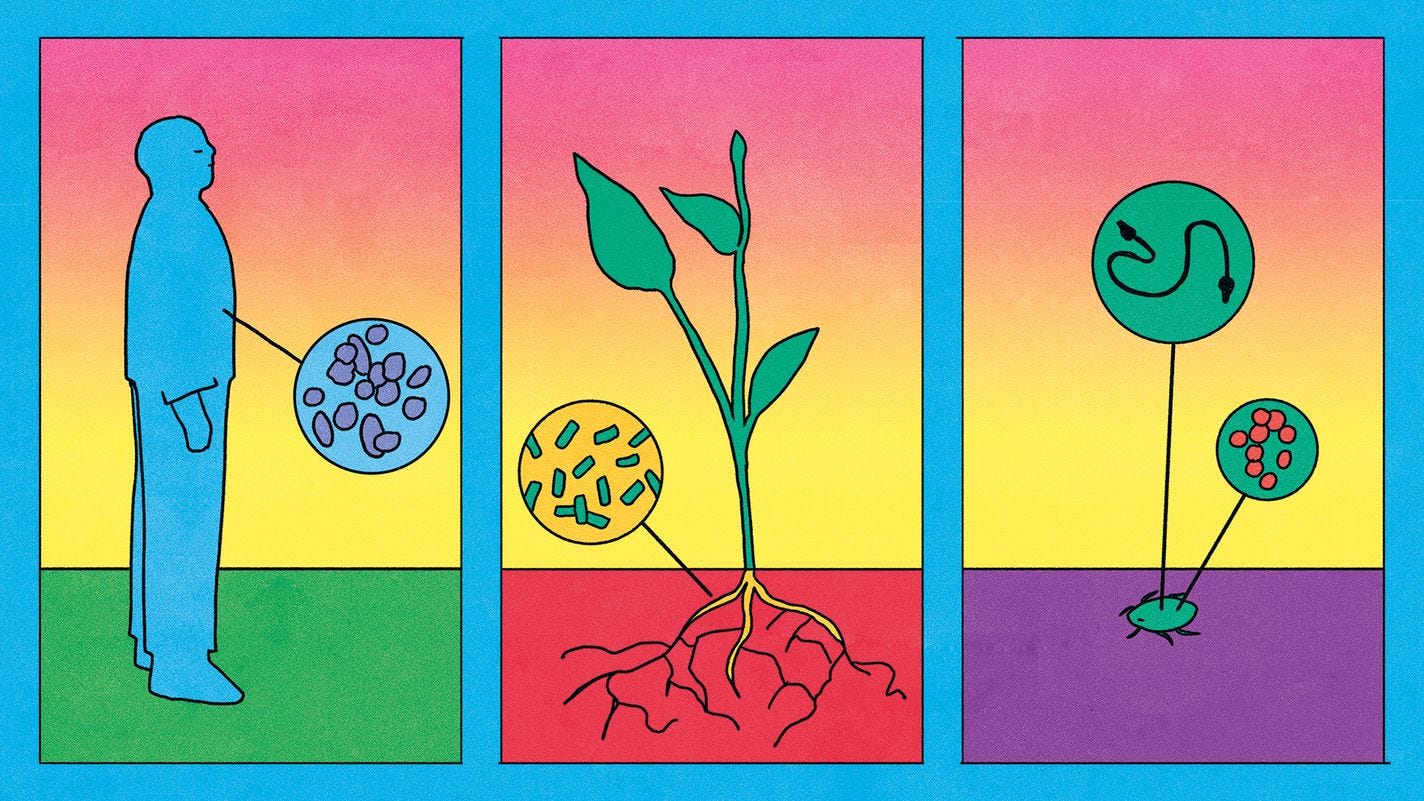 The idea of “holobionts” represents a paradigm shift in biology The idea of “holobionts” represents a paradigm shift in biology