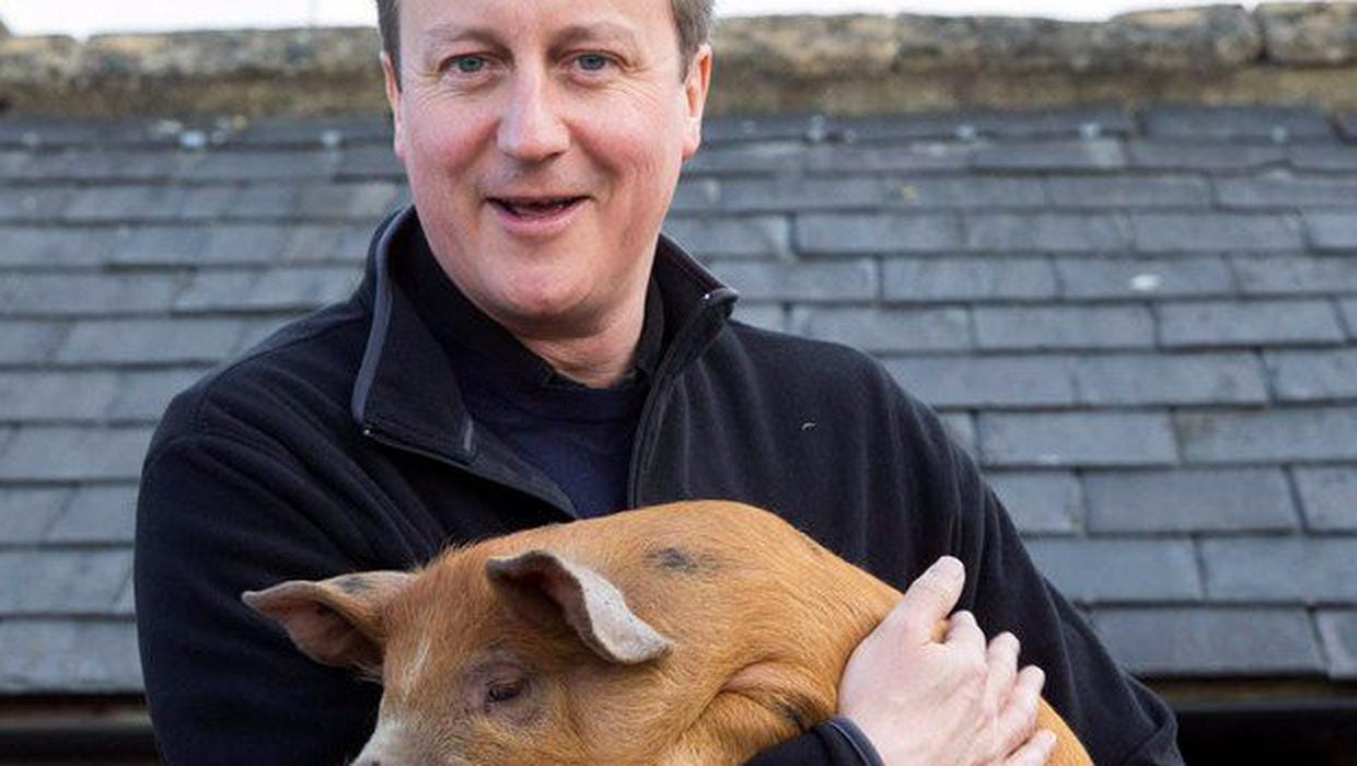 David Cameron put 'private part' in dead pig's mouth while an Oxford  student, book claims - Independent.ie