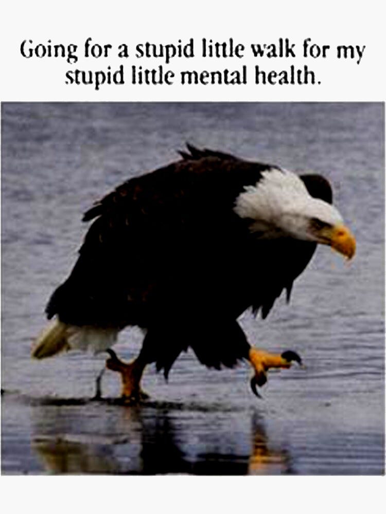 "going for a stupid little walk for my stupid little mental health T ...