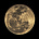 mia's avatar