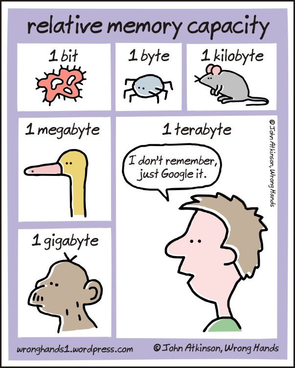 memory capacity | Wrong Hands