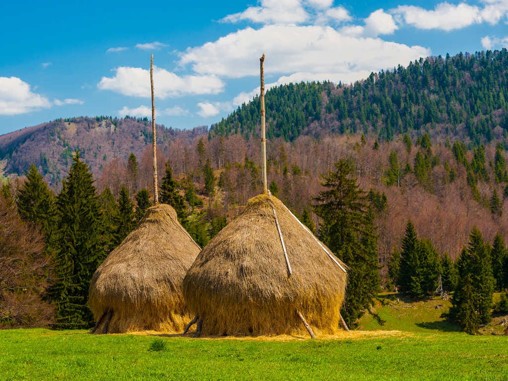 COmunità montane ed Enti locali