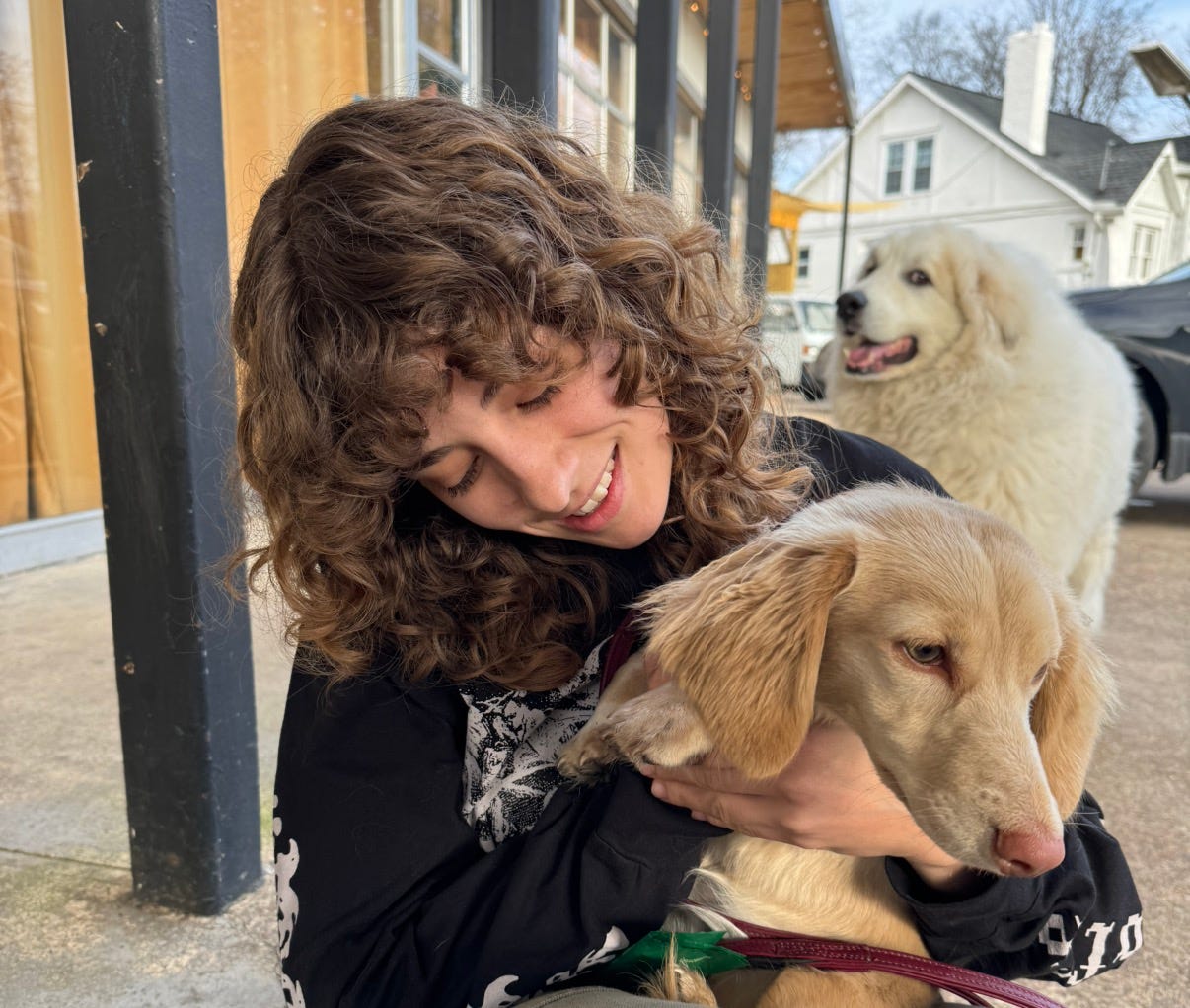 Artwork for Stephanie Reiman