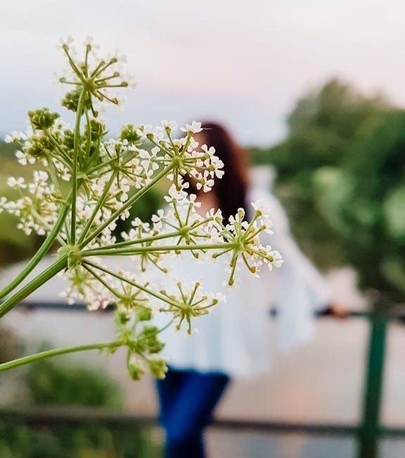 Midlife, Weight, and the Relief of Knowing Where I Stand