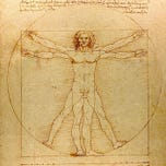 The Anti-Wellness Diet