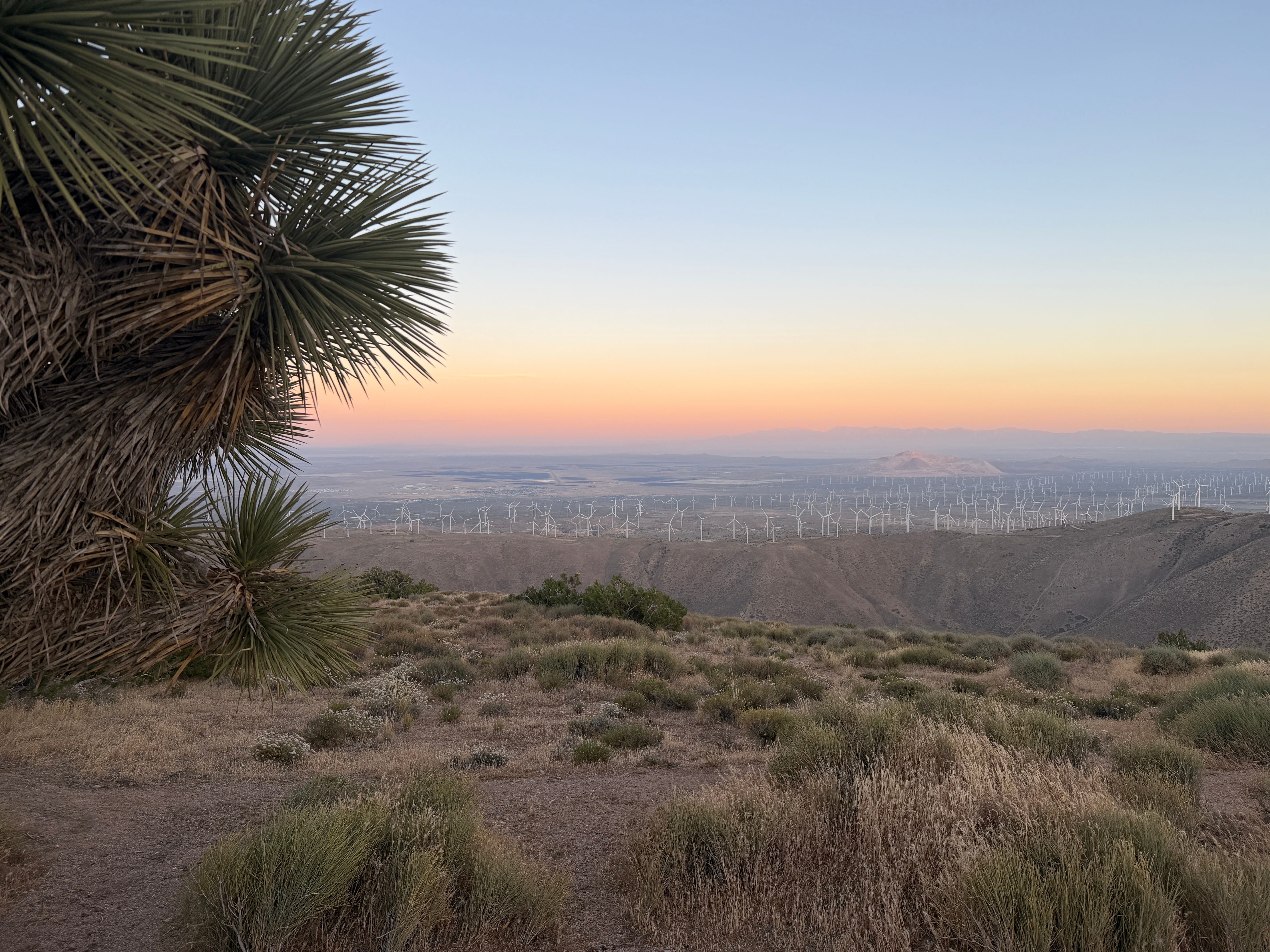 PCT Chapter 7: Escaping the Desert