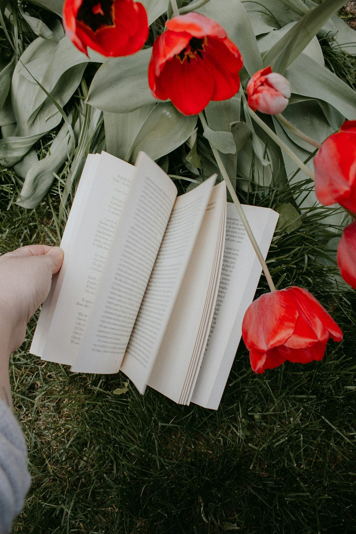 What Every Scene Needs: 7 Essentials for Page-Turning Fiction What Every Scene Needs: 7 Essentials for Page-Turning Fiction