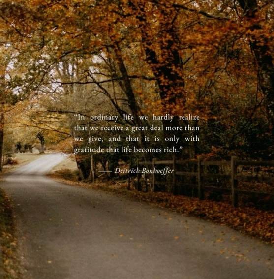 A road with trees and a fence

AI-generated content may be incorrect.