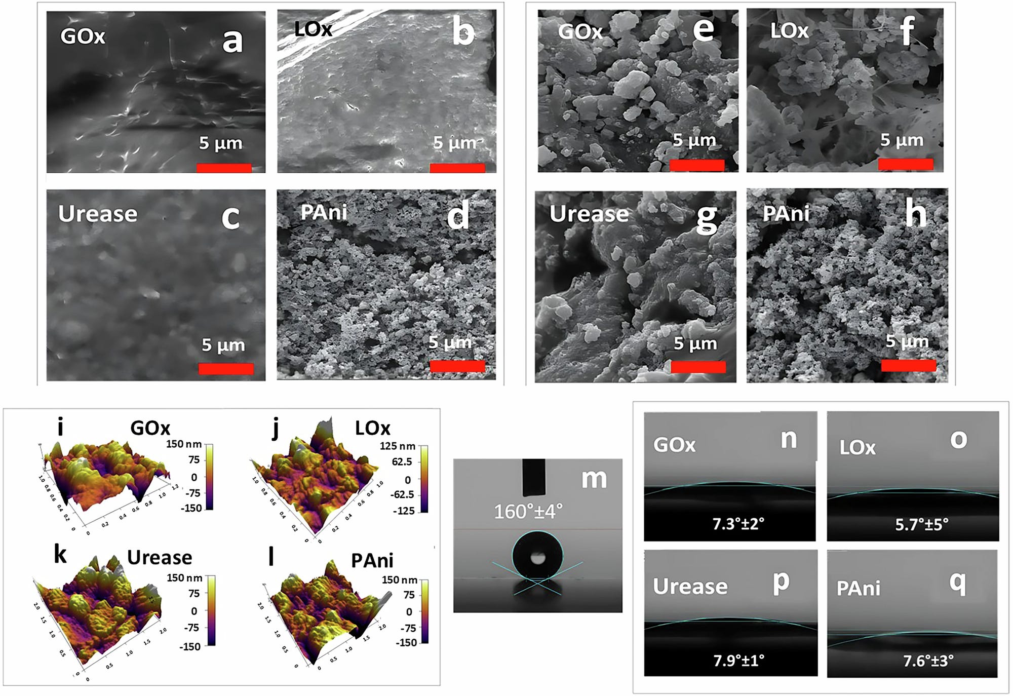 Low-Volume Wearable Sweat Sensors for Continuous Metabolic and ...