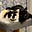 Cathy Grimes's avatar