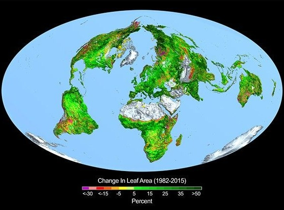 This image shows the change in leaf area across the globe from 1982-2015. Credit: Boston University/R. Myneni.