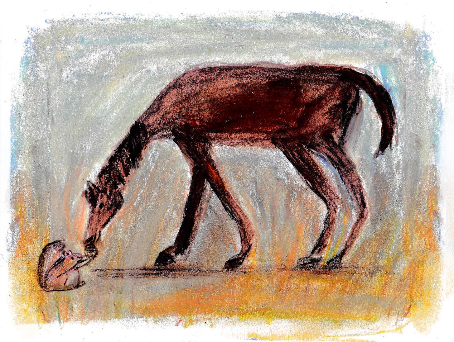 horse illustration by Beth Spencer horse illustration by Beth Spencer