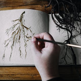 Growing strong roots