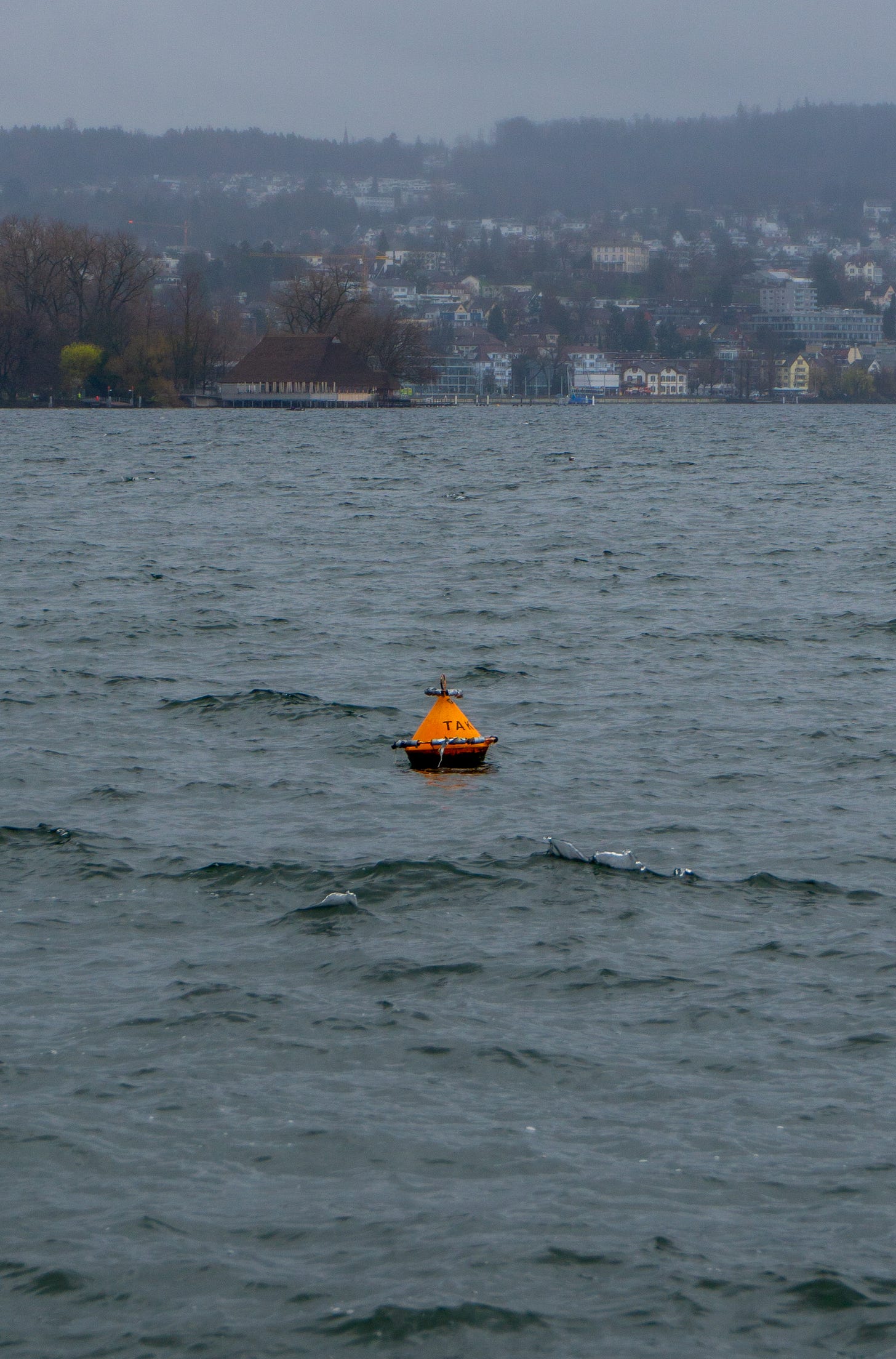 A buoy in the water