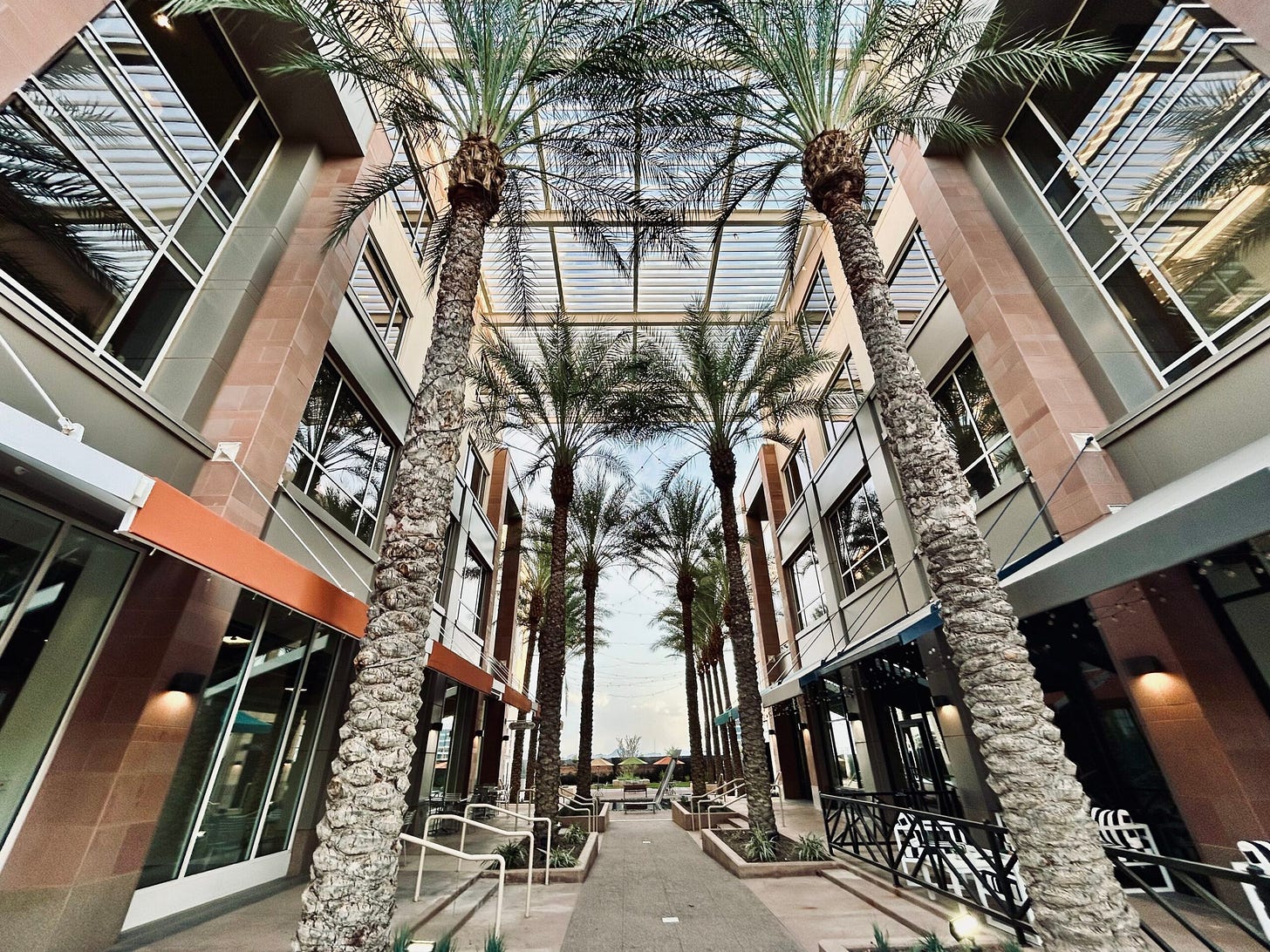 palm trees, architecture