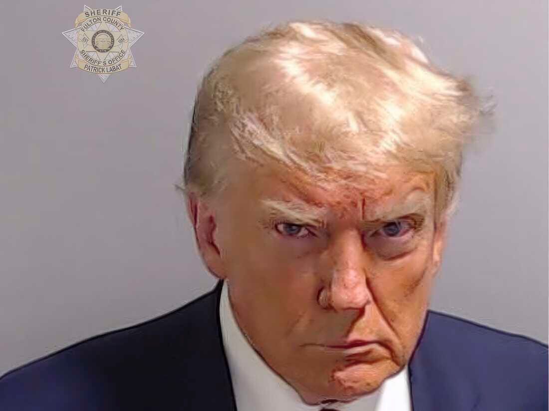 Opinion: Trump's mug shot may become his best-known portrait : NPR