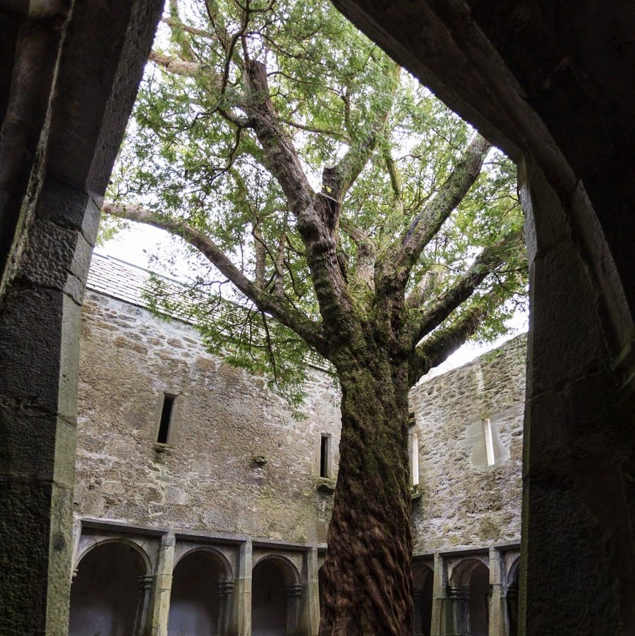 Reinventing Christianity