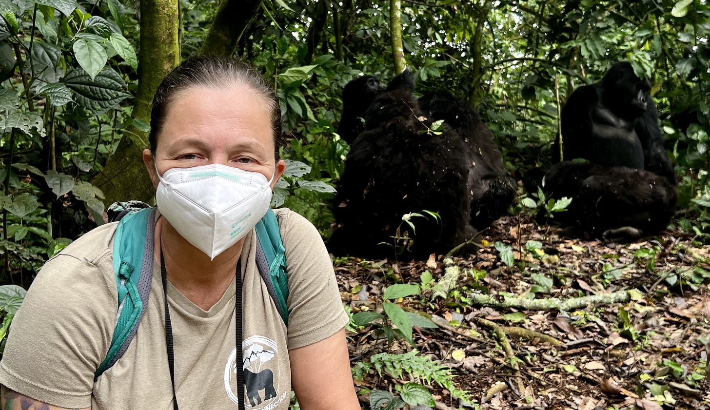 Dr. Jennifer Verdolin in the field observing mountain gorillas in Bwindi Impenetrable Forest. Dr. Jennifer Verdolin in the field observing mountain gorillas in Bwindi Impenetrable Forest.