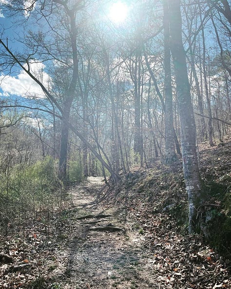 9 photos of various trees in Alabama
