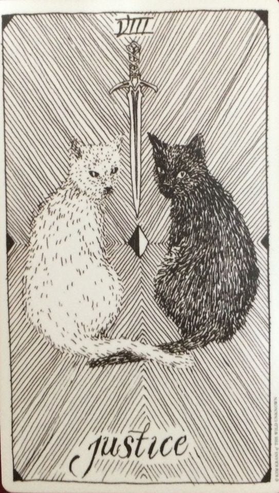 Justice – The Wild Unknown Tarot by Kim Krans