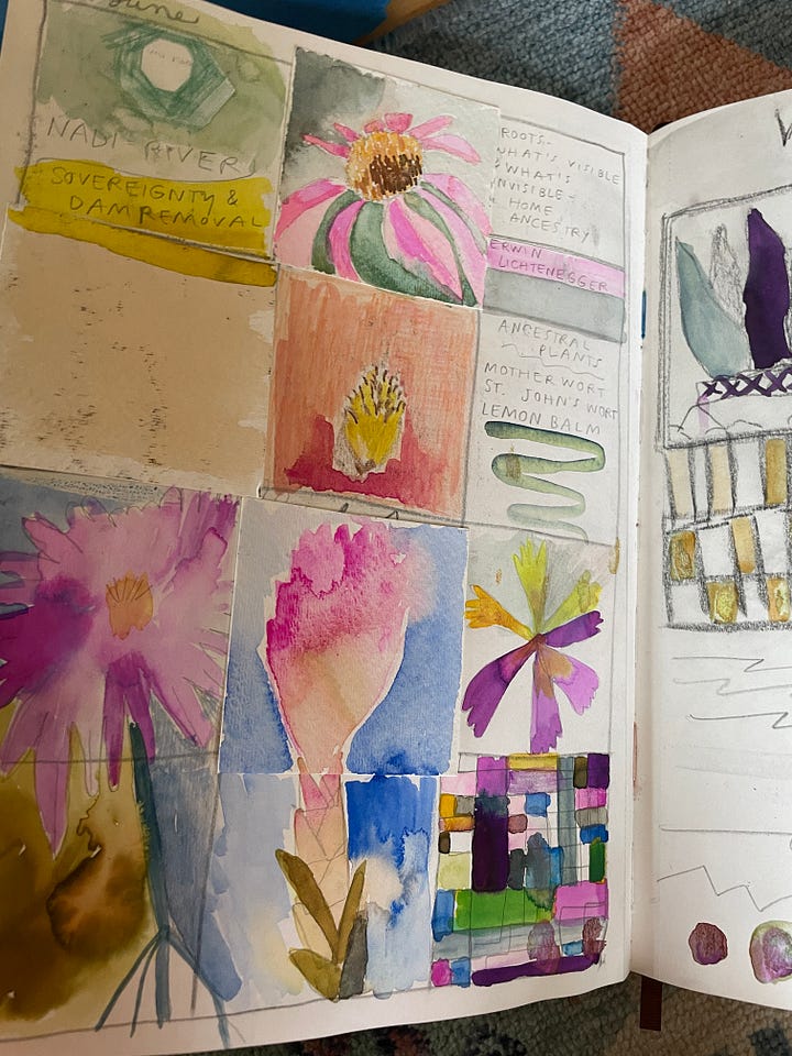 drawings of flowers in pencil, watercolor, and gouache