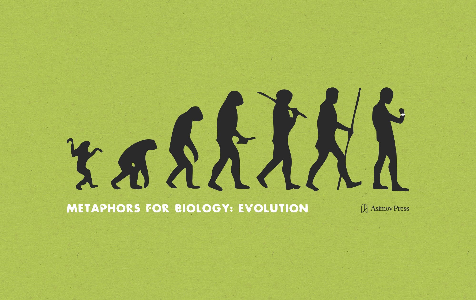 Metaphors for Biology: Evolution