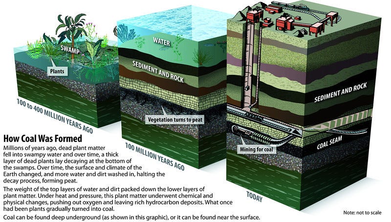 How does the formation of coal differ from that of natural gas and oil? |  Socratic