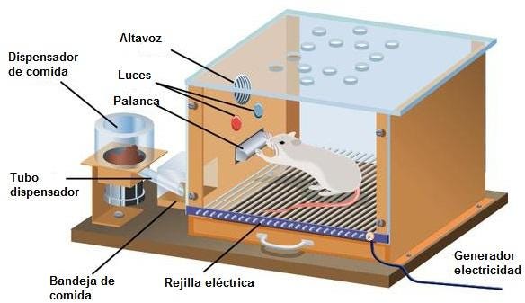 Condicionamiento operante? ¿Qué es eso?