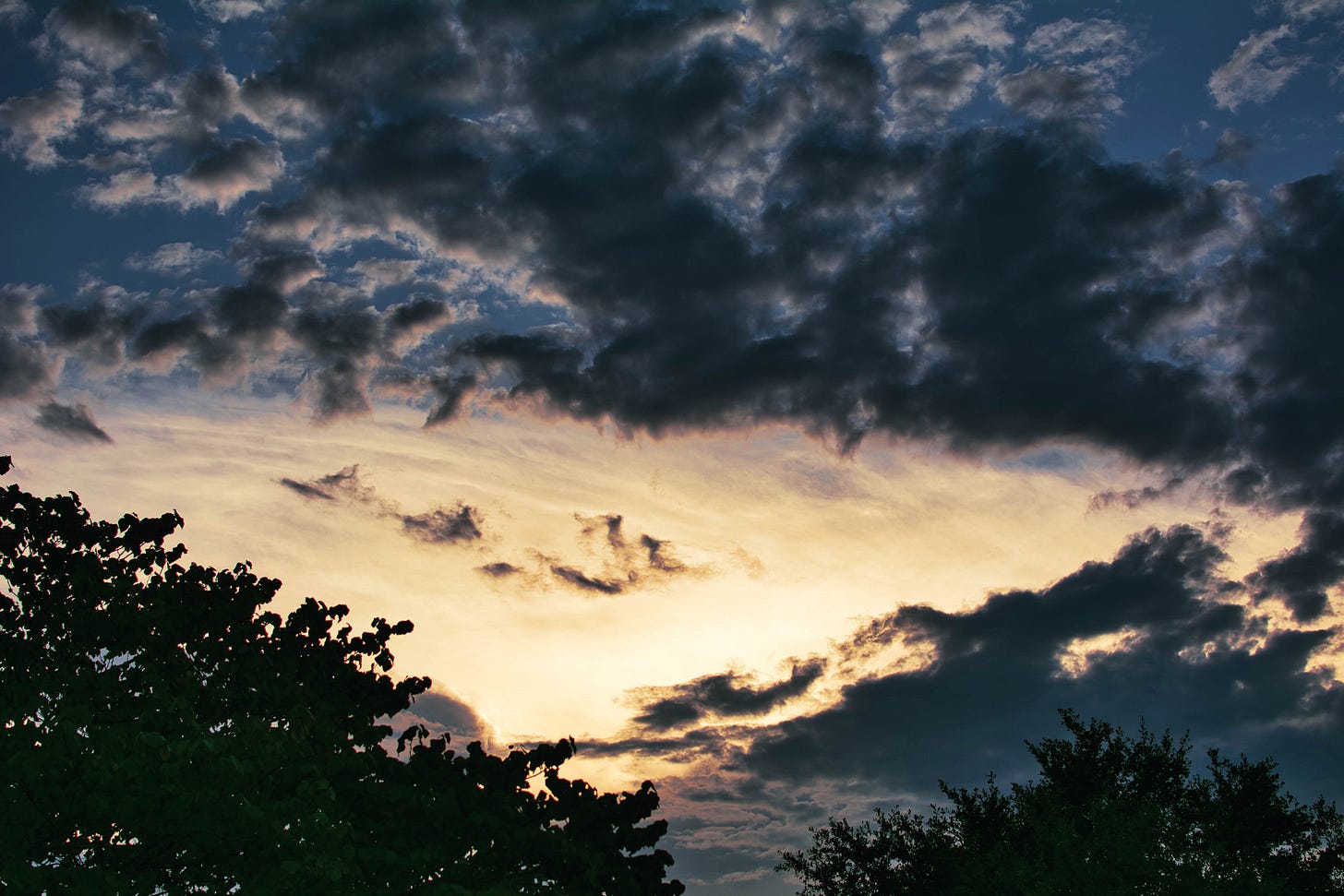 Dramatic sunset sky with dark clouds and golden-orange hues, framed by silhouetted tree tops. Dramatic sunset sky with dark clouds and golden-orange hues, framed by silhouetted tree tops.