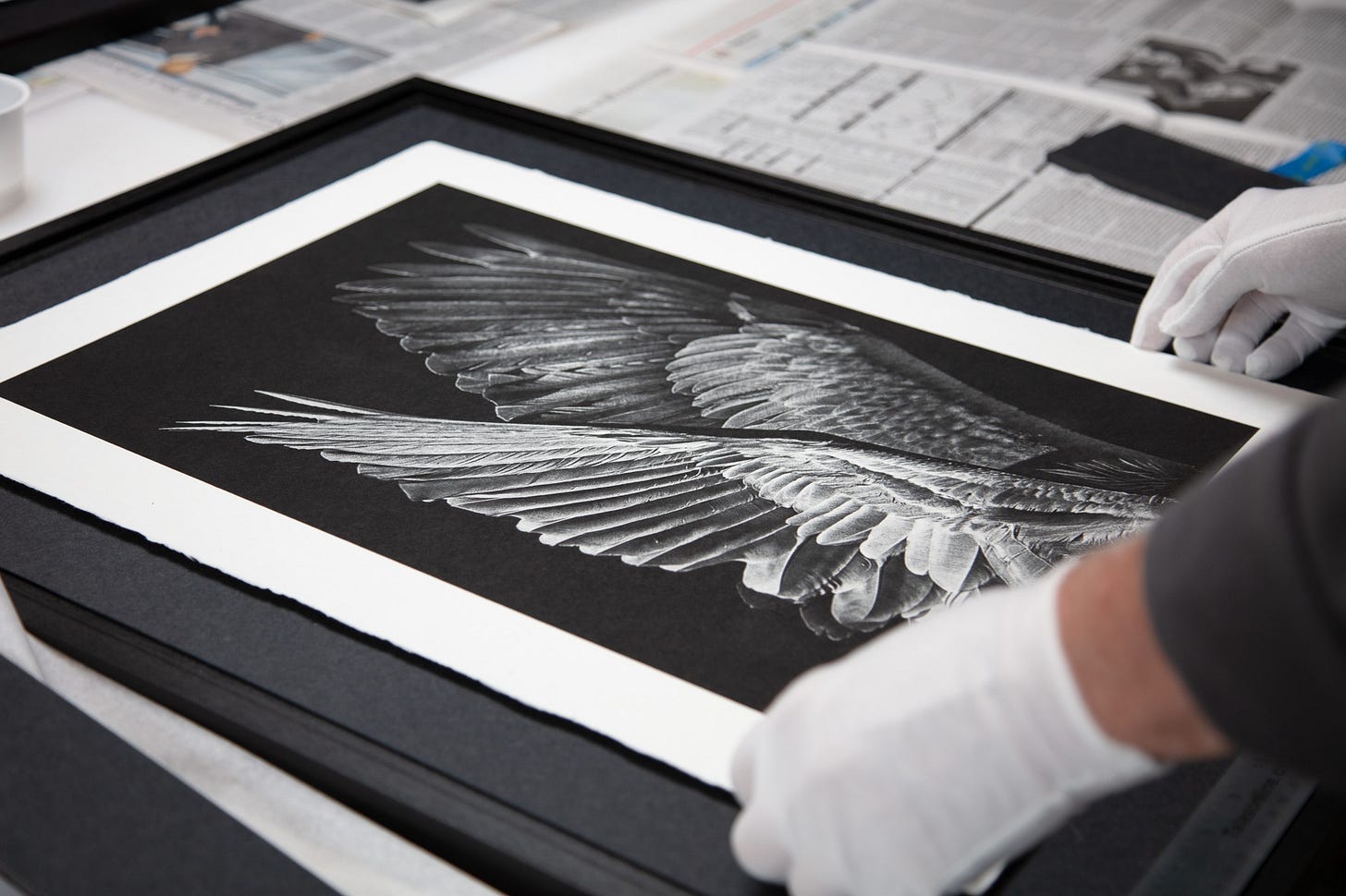 handling a print with gloves handling a print with gloves