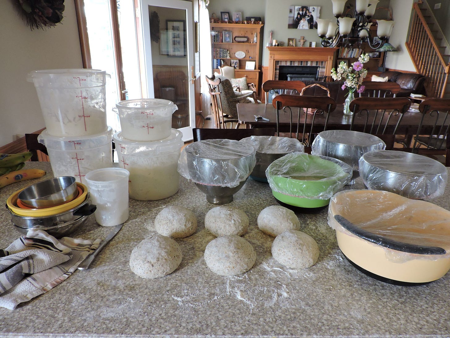  Bread at various stages. 