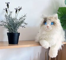 A Metacat robotic pet with flashing blue eyes, sitting on a shelf next to a plant. A Metacat robotic pet with flashing blue eyes, sitting on a shelf next to a plant.