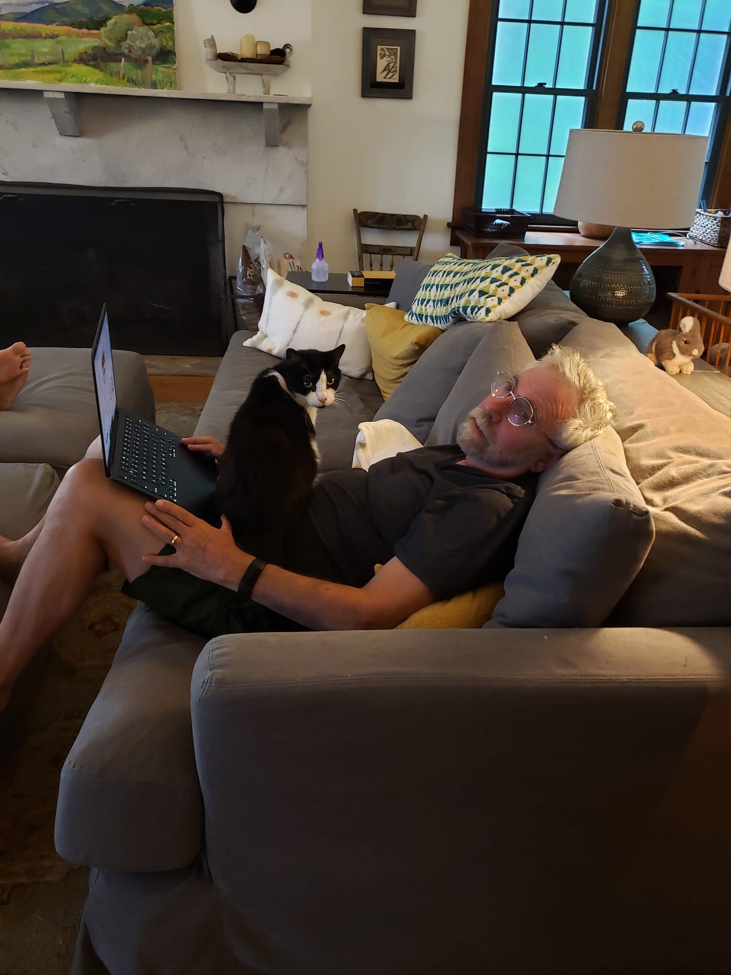 Paul Krugman on a couch with laptop and a cat