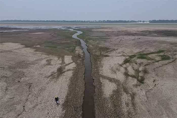 Amazon Rainforest Drought