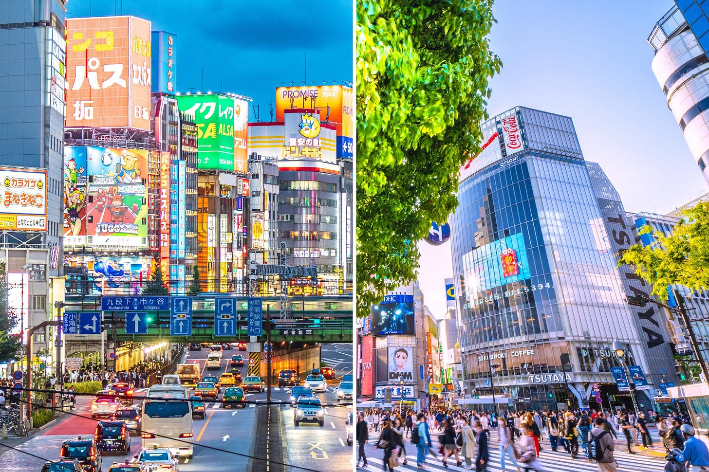 Shibuya vs. Shinjuku: Living, Dining, Nightlife, and More - Tokyo Portfolio  Real Estate