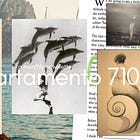 Rituals and how to find magic in everyday things