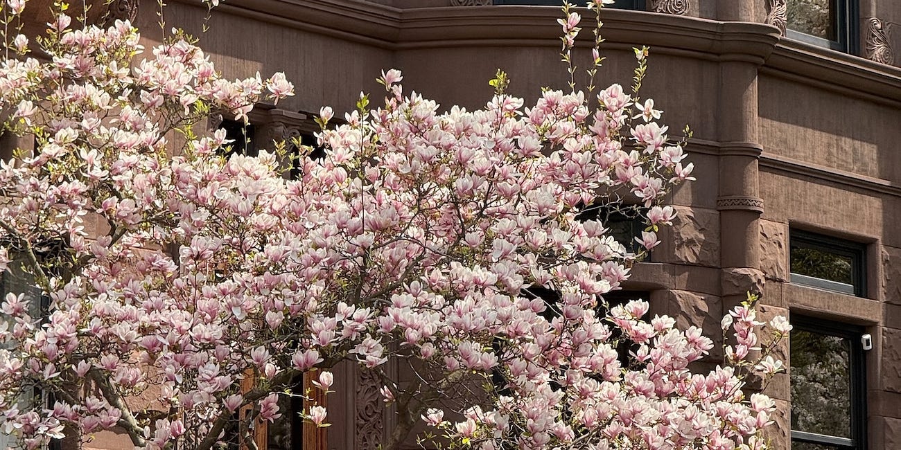 Slow Seasons: Spring