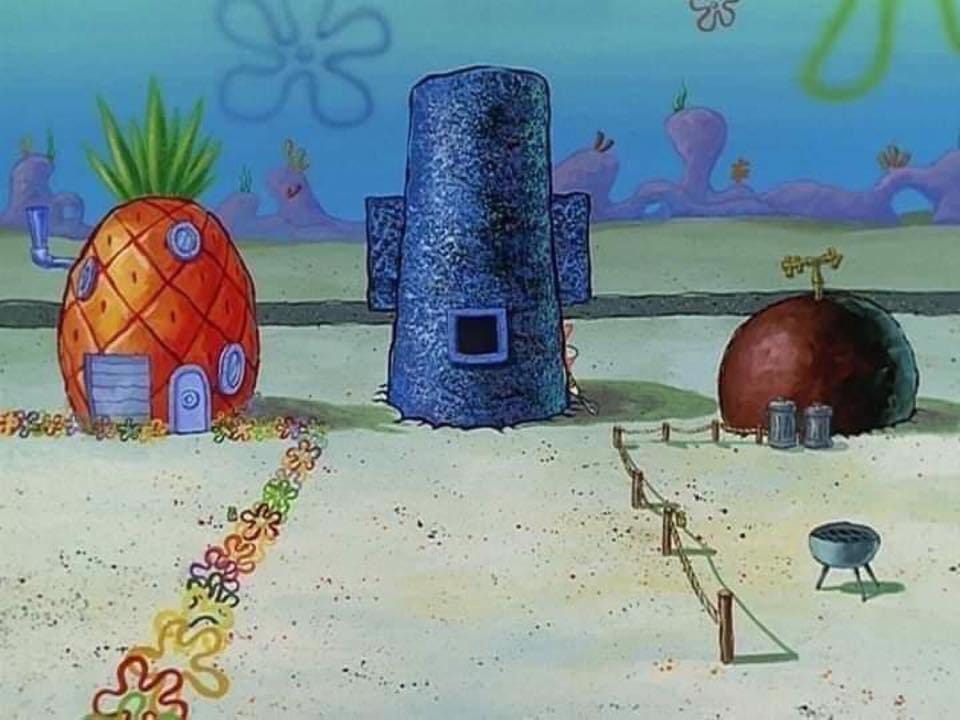 The rare backyards of SpongeBob The rare backyards of SpongeBob