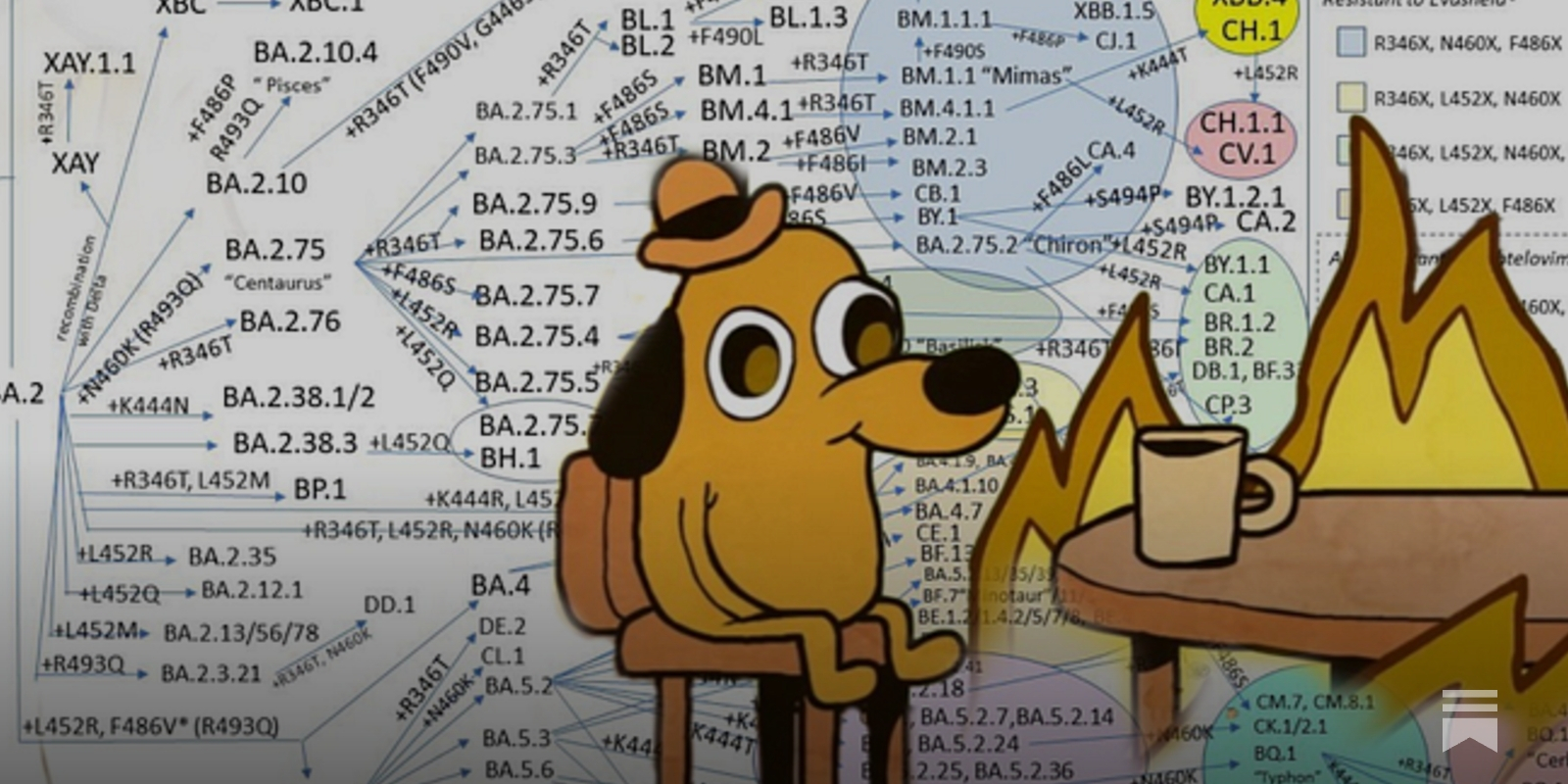 This is Fine: too many variants - by Chloe Humbert
