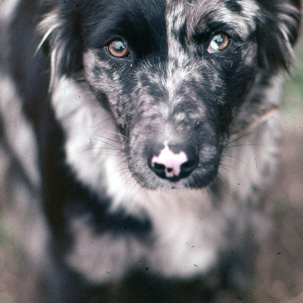 May You Live in Interesting Times