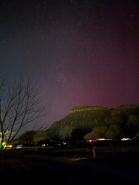 photos of cats, the northern lights, my beautiful birthday cake