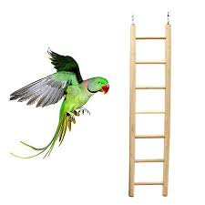Walbest Wooden Bird Ladder for Cage ...