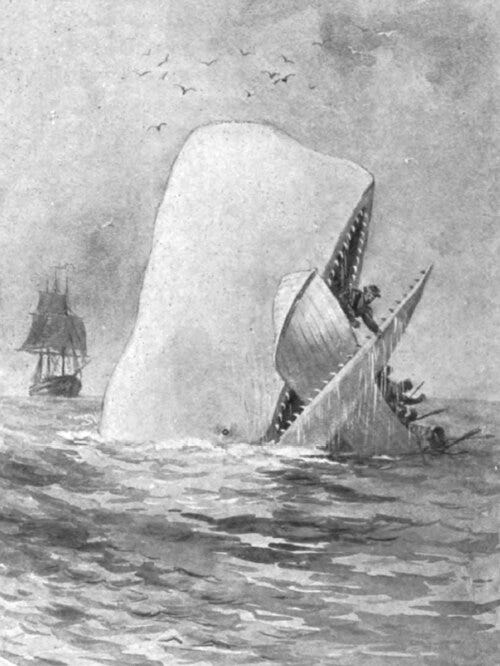 File:Moby Dick p510 illustration (cropped).jpg