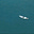 李魚's avatar