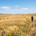 Why I Am Walking the Camino Alone Again This May