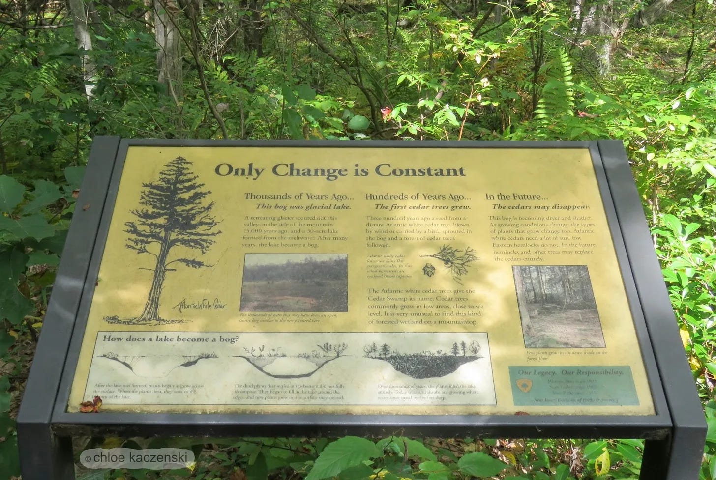 Trail information interpretive sign with the heading stating “Only Change is Constant” at Cedar Swamp Trail in the Dryden Kuser Natural Area at High Point State Park in New Jersey USA. Photo by Chloe Kaczenski Humbert