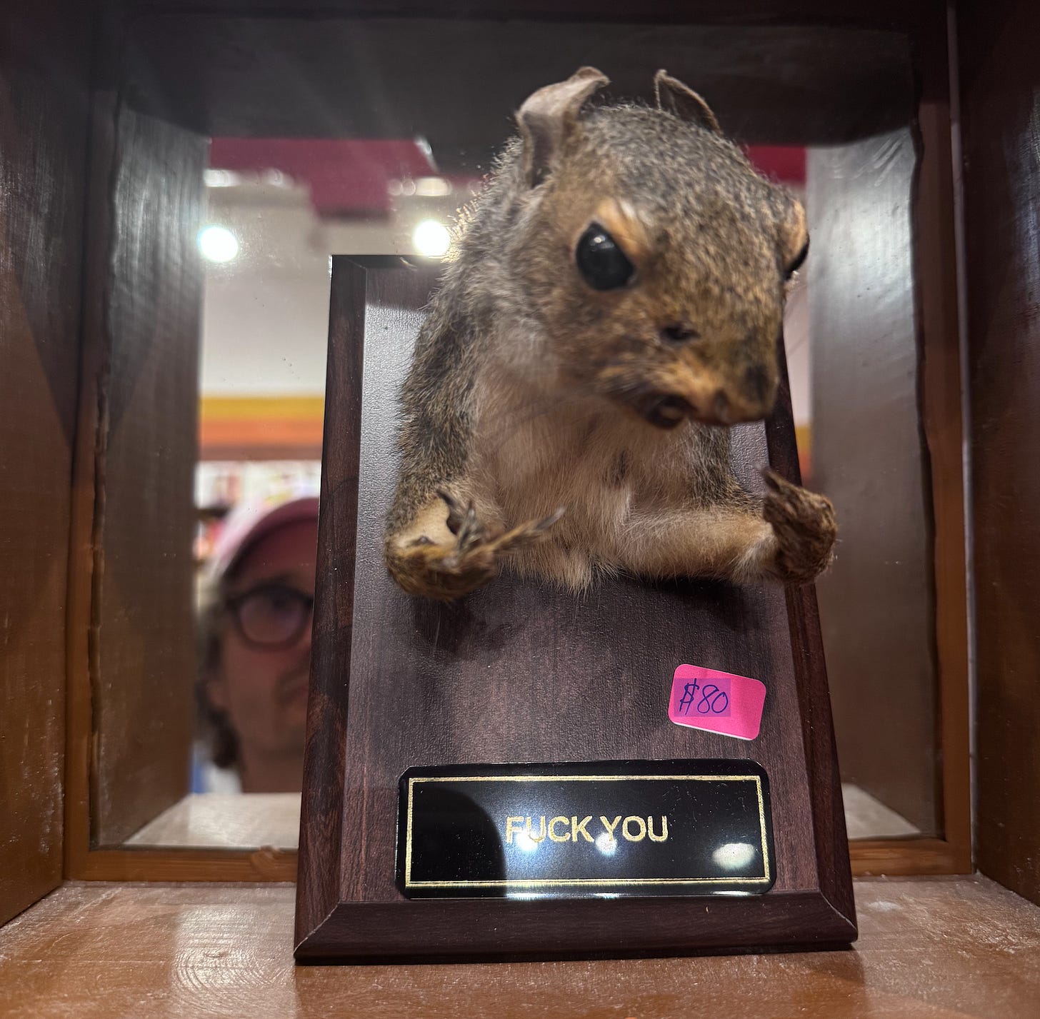 A squirrel posed giving the fingers