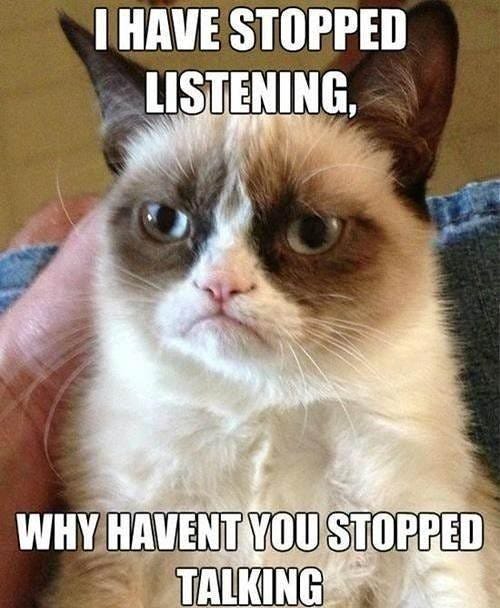 a very grumpy white and brown cat makes a very grumpy face. Caption: I stopped listening. Why haven't you stopped talking.