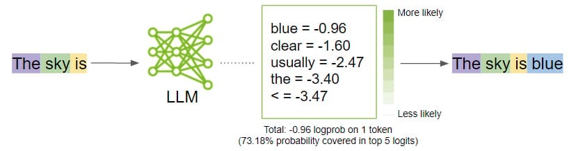 How Does a Large Language Model Really Work?