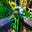 Kermits Traveling Buddy's avatar